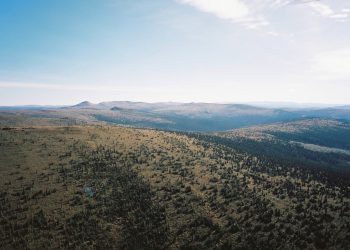 Barrick opta por el proyecto South Uchi de Kenorland Minerals