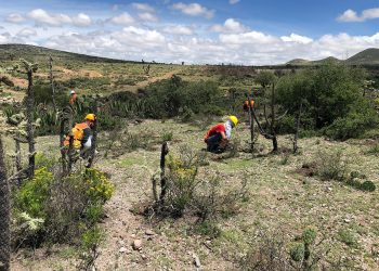 Agnico Eagle aumenta participación de Candelaria Mining a 19,6%