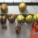 Personal minero: Benchmark Metals, Endeavour Silver, Filo Mining, Montage Gold
