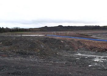 Compuestos que promueven la diversidad vegetal clave para la restauración ecológica en vertederos de minas de carbón a cielo abierto