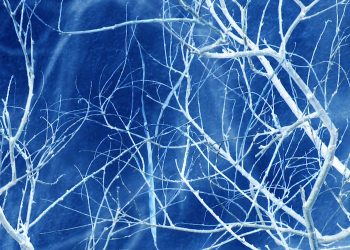 Formación de dendritas en baterías de metal de litio abordadas con éxito