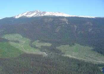 FPX describe una operación integrada de sulfato de níquel de 43.500 t/a en un estudio de alcance