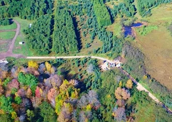 El proyecto de níquel Tamarack de Talon Metals sigue creciendo