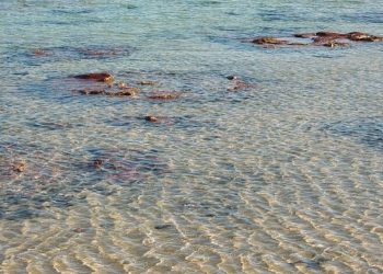 Minería en aguas poco profundas en conflicto directo con los objetivos de sostenibilidad: estudio