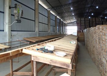 Aura Minerals avanza proyecto de oro Matupá más cerca de la producción con lanzamiento de FS