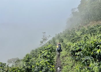 Collective Mining amplía zona aurífera de Guayabales en Colombia