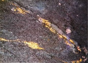 Gold Resource informa de la mejora de sus resultados financieros año tras año