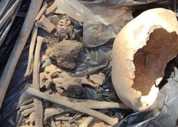 Hallan restos antiguos en proyecto de Glencore en Argentina