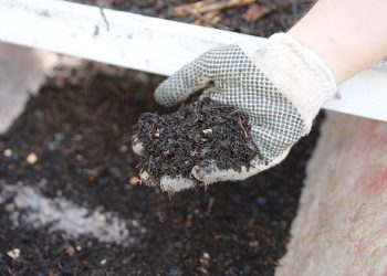 El compost ayuda a extraer REE de los desechos electrónicos
