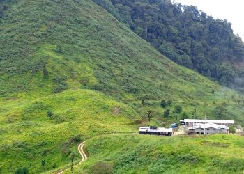 Lumina Gold hace crecer proyecto Cangrejos en Ecuador