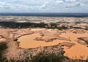 Minería ilegal: ¿Cómo contamina nuestra agua y afecta nuestra biodiversidad?