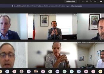 Chile: Sernageomin: “Dotación promedio de la minería deberá ser del 6% durante 2020”