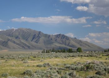 Lithium Americas se dividirá en dos empresas