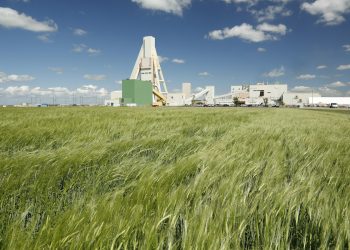 La perspectiva de ganancias de Nutrien empeora debido a una orientación reducida de la potasa
