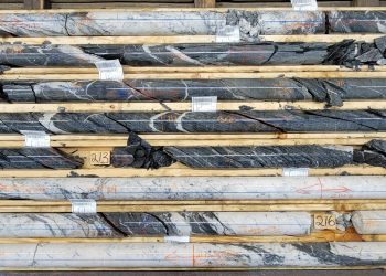 New Found Gold anuncia resultados de alto grado de la nueva zona Lotto North