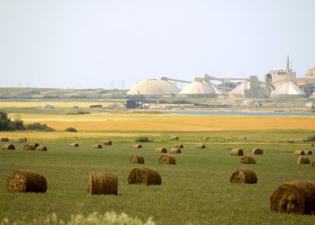 Nutrien impulsará la producción de potasa a pesar de la caída de la demanda