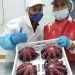 Chile: Planta Punta Frodden de Caldera logra Certificación para exportar sus productos