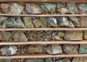 Cómo los productores de material verde, los compradores pueden capturar las primas verdes