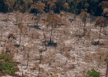 Abrir áreas protegidas en la Amazonía a la minería puede conducir a pérdidas masivas de bosques