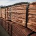 Chile: Exportaciones chilenas de cobre llegan a US$36.337 millones en 2020: Alza fue de 8%