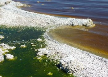 Combinar la producción de energía con la extracción de litio puede reducir el costo del desarrollo geotérmico: investigación