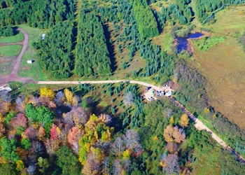 Talon confirma el crecimiento del proyecto de níquel Tamarack;  otorgó $ 114 millones de fondos gubernamentales