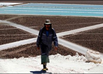 Chile: Directorio de SQM aprueba de forma unánime hacer aumento de capital por US$ 1.100 millones