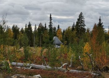 Rupert Resources informa PEA de oro de Ikkari con NPV de $ 1.6 mil millones