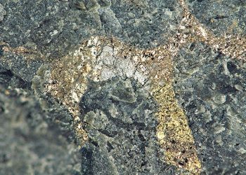 Reino Unido y Sudáfrica buscan una cooperación más profunda en minerales críticos