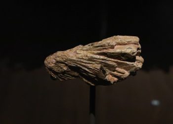 La minería electrocinética permite la recuperación ecológica y eficiente de REE