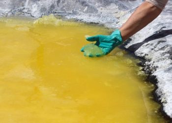 Chile: Grupo Errázuriz apuesta por extraer “litio verde” en el Salar de Maricunga