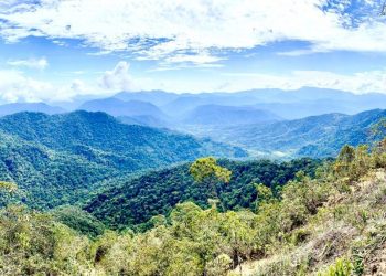 Equinox Gold vende una participación de $ 51 millones en Solaris Resources, las acciones aumentan