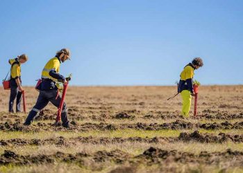 Nativ Carbon completa el proyecto de reforestación más grande jamás realizado en Australia