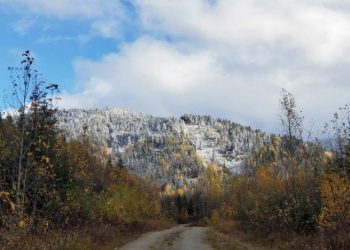Defense Metals perfora 221 metros de TREO al 2,14 %, incluido el 3,52 % en Wicheeda, Columbia Británica