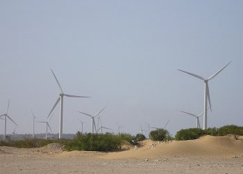 África avanza muy lentamente hacia la transición a la energía limpia: informe