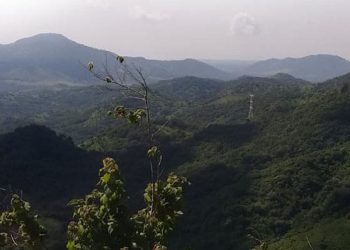 Azucar Minerals concede opciones sobre acciones