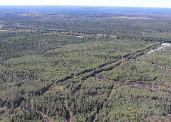 Canada Nickel confirma descubrimiento en propiedad recién adquirida de Deloro en Ontario