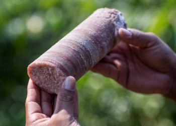 Los precios de la potasa se normalizarán para 2023, dice el presidente de Potasa de Brasil