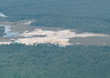 Cientos de hectáreas de selva prístina destruidas por minería ilegal en Venezuela