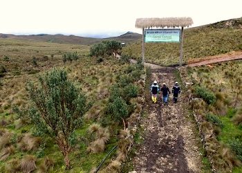 Corte de Ecuador avala permisos ambientales para proyecto aurífero Loma Larga de Dundee
