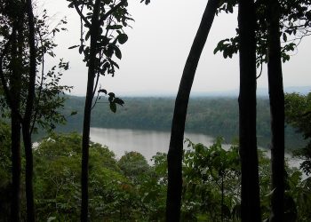 Tribunal admite demanda colectiva contra autoridades bolivianas acusadas de permitir minería ilegal en parque nacional