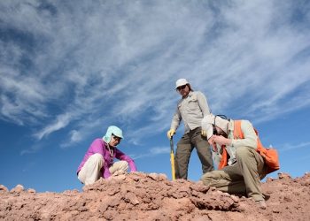 Chile: Medio Ambiente: Carreras profesionales y técnicas que requieren la industria minera chilena