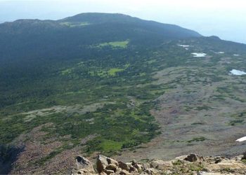 FPX y un socio indígena firman un MOA para el proyecto de níquel Decar en Columbia Británica