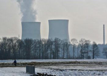 Los microbios pueden ser capaces de causar daños a una instalación nuclear masiva