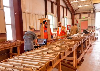 Phoenix Copper lanza un novedoso bono vinculado al precio del cobre