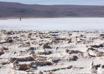 Ganfeng inicia construcción de proyecto de litio Mariana en Argentina