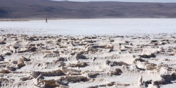 Ganfeng inicia construcción de proyecto de litio Mariana en Argentina