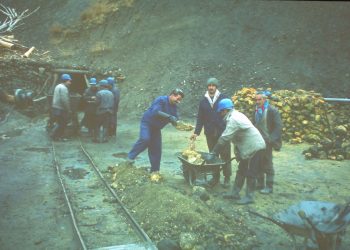 Odds 'n' Sods: mentiras, malditas mentiras y estimaciones visuales