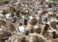 Los costos reales de la extracción de coltán en la RDC: informe