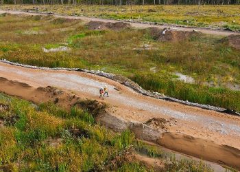 Los contaminantes afectan a los invertebrados años después del desastre de la mina Mount Polley